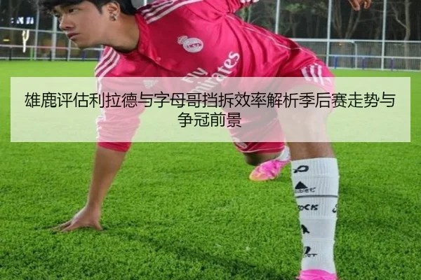 雄鹿评估利拉德与字母哥挡拆效率解析季后赛走势与争冠前景